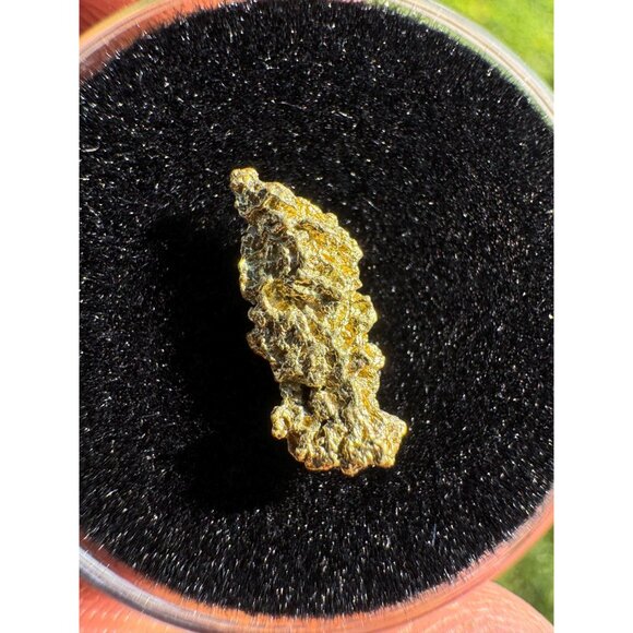 California Native Gold Crystal - 0.54 grams - Picture 5 of 5